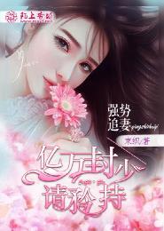 强势追妻,亿万封少请矜持 强势追妻,亿万封少请矜持
