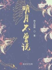 明月不曾说 明月不曾说