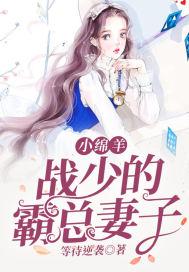 小绵羊战少的霸总妻子 小绵羊战少的霸总妻子